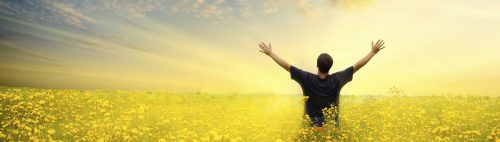 Oh Jehová, de mañana oirás mi voz; de mañana me presentaré delante de ti, y esperaré.